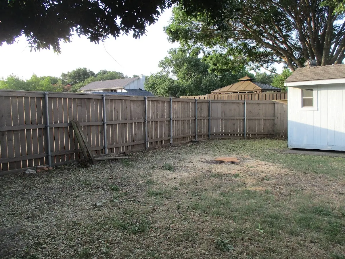 Cleared yard after professional tree removal in Gallatin
