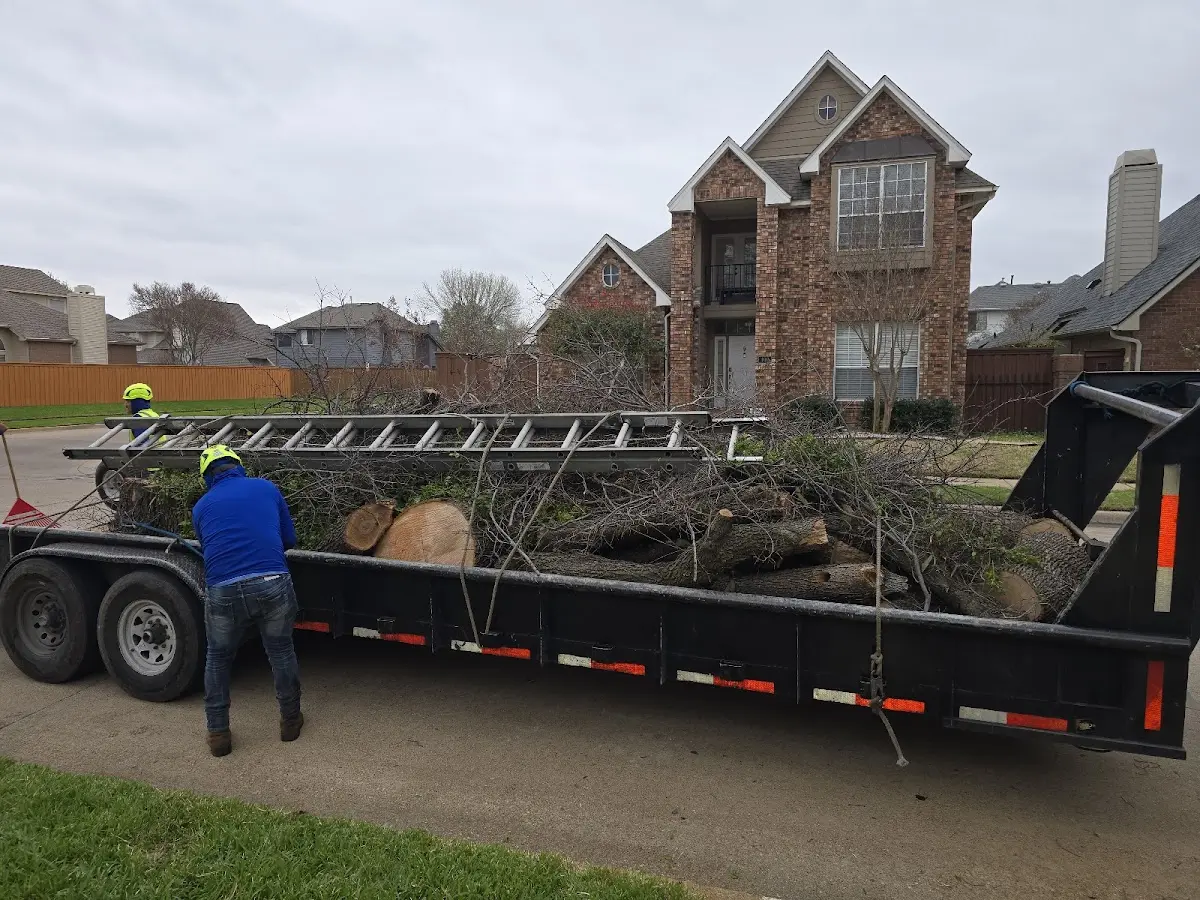 Expert Tree Pest Control with proper safety equipment in Gallatin